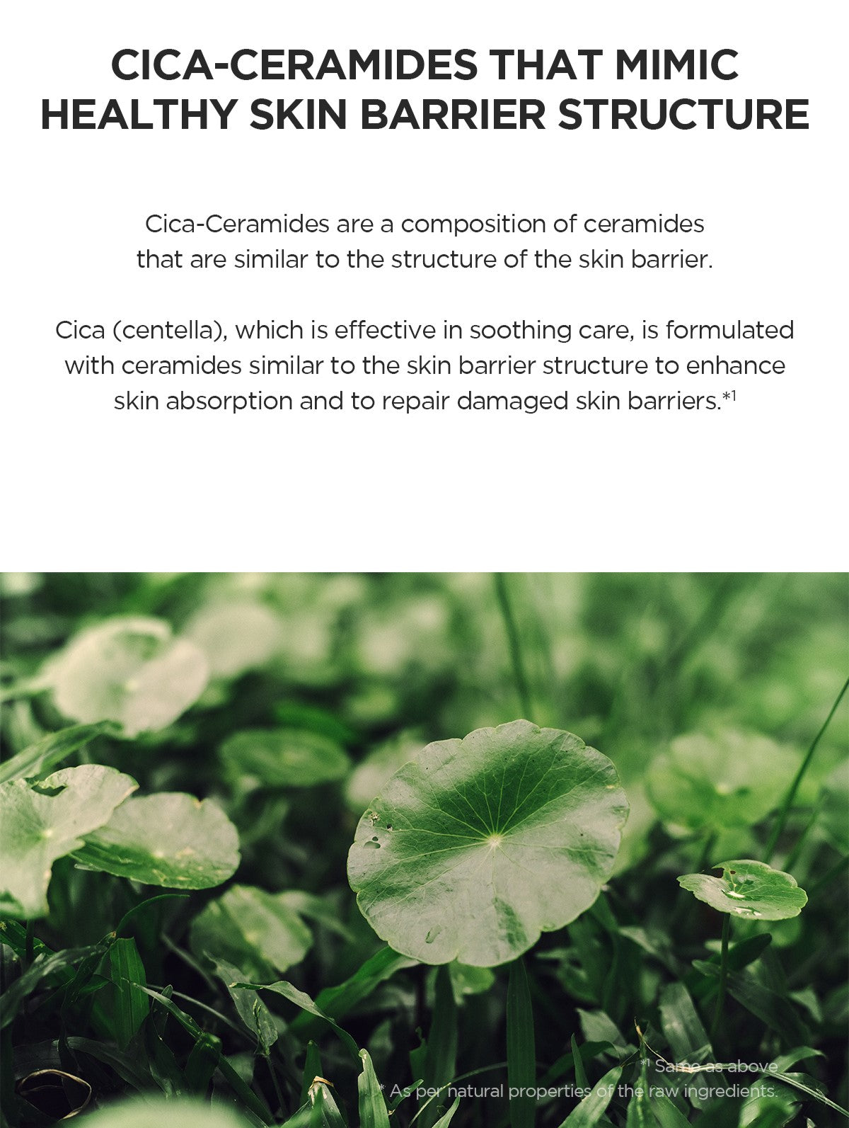 SKIN1004 Glow 1004 Duo