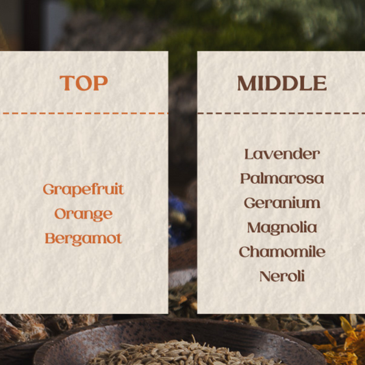 Nutseline Aroma Nut Slim Fit Oil Wash 315ml