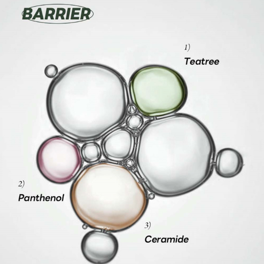 MEDIHEAL TEATREE CALMING BARRIER AMPOULE