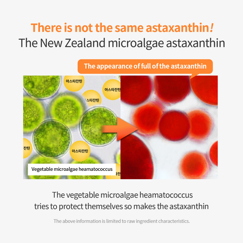 SUNGBOON EDITOR Active Marine Astaxanthin Capsule Cream 50ml