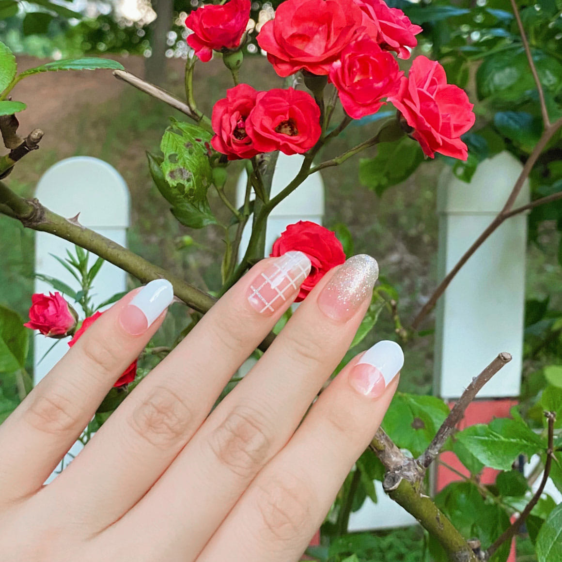 DASHING DIVA Glaze Mani Delight ZMA161