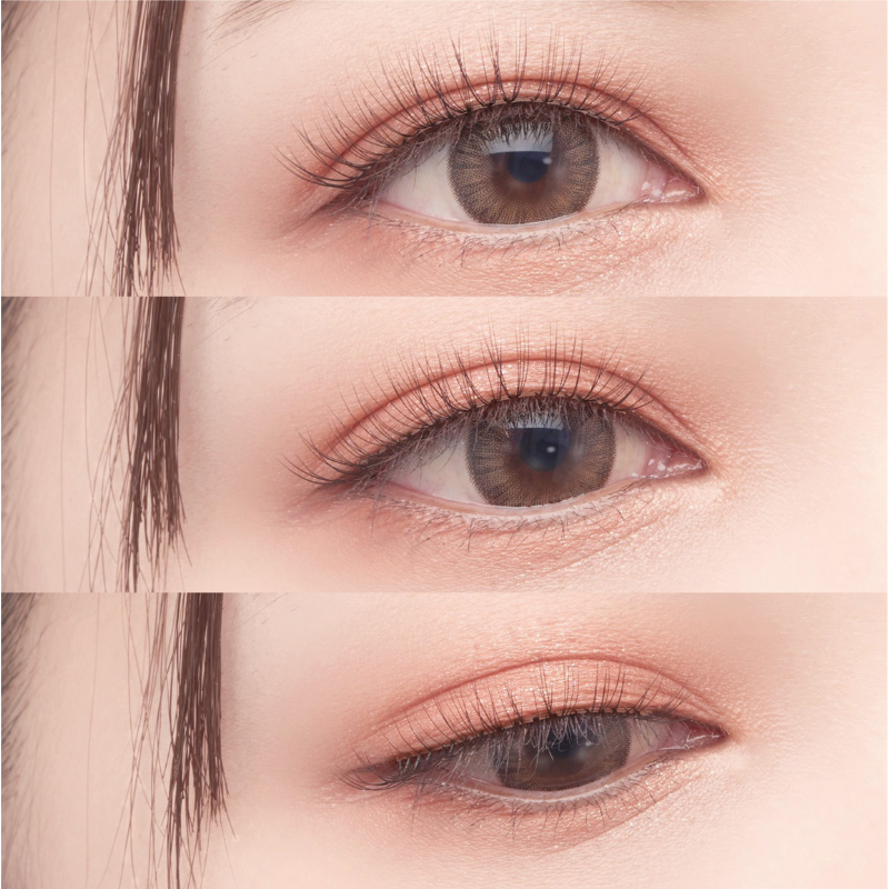 SHOBIDO Decorative Eyelash 010