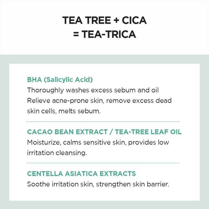 SKIN1004 Madagascar Centella Tea-Trica Bha Foam 125ml