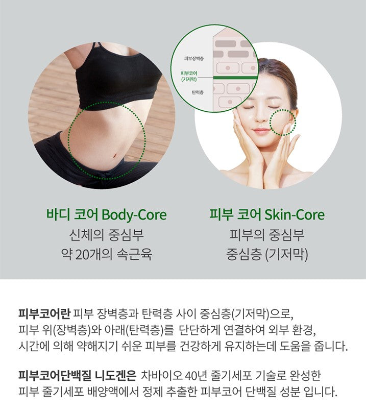 EVERCELL Cell Vital Cell Program (4 Week)