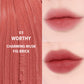 Braye Lipsleek Blur 10 Color to Choose