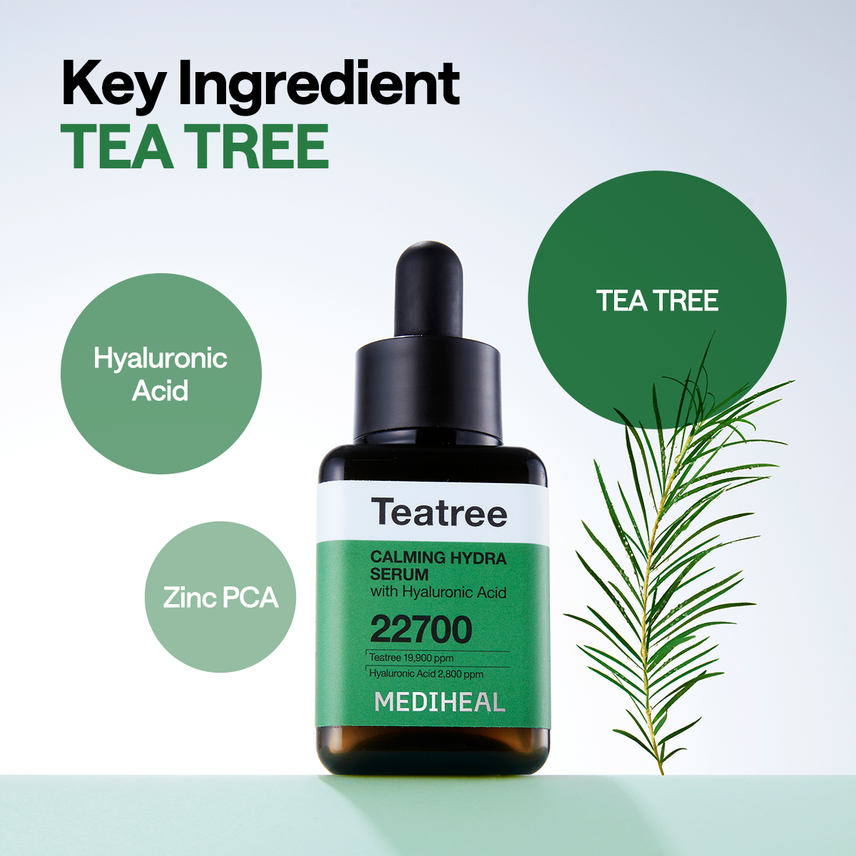 [Sachet] Mediheal Teatree Calming Hydra Serum