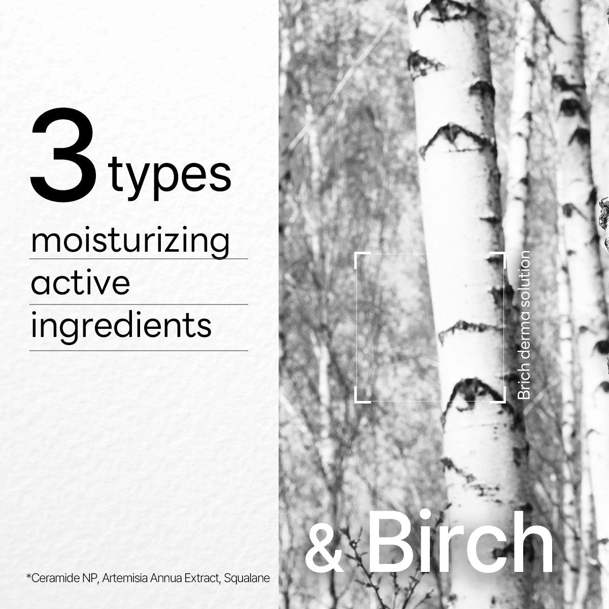 MEDIHEAL Dermaplus Birch Mask - 10ea