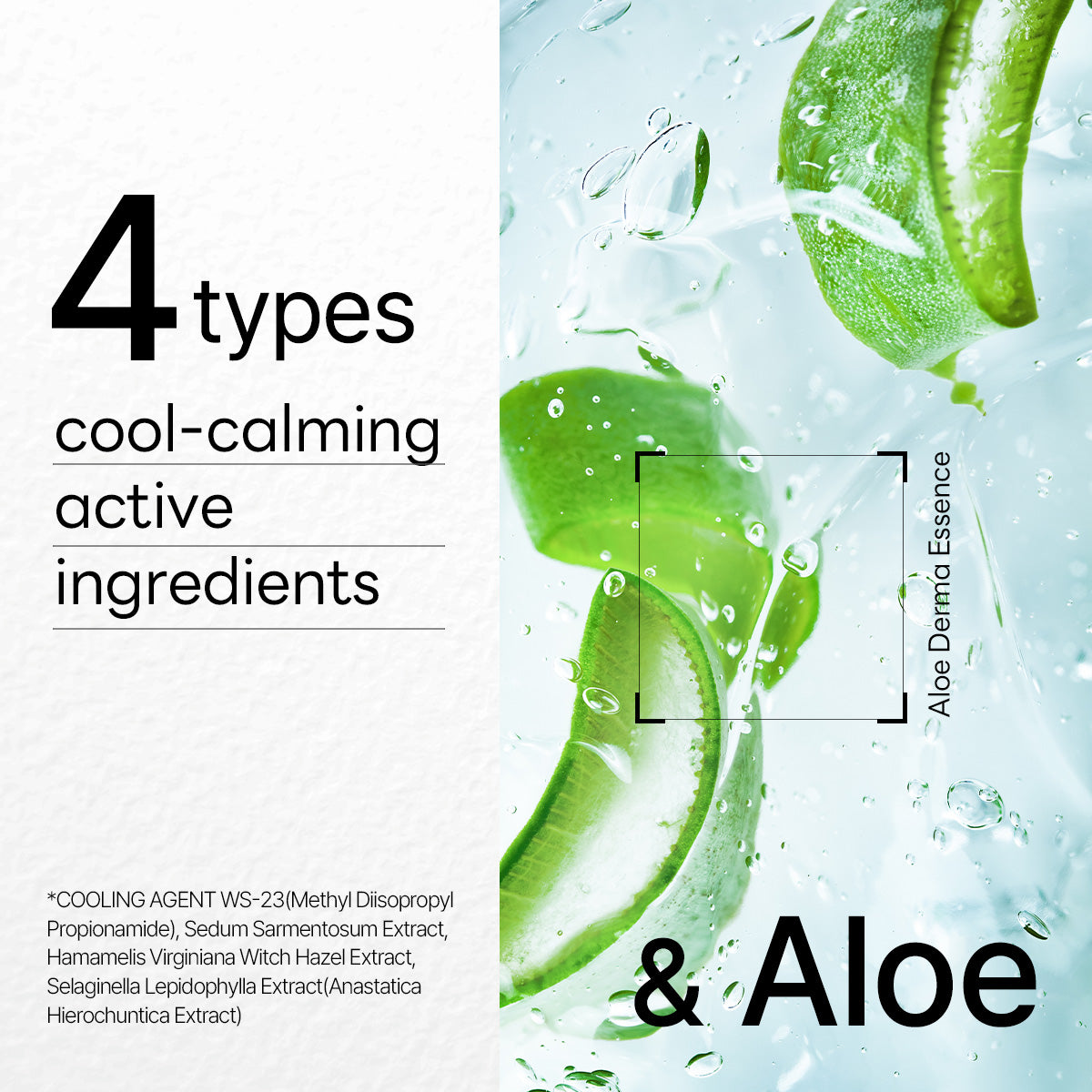 MEDIHEAL Dermaplus Aloe Mask - 10ea