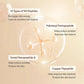 SUNGBOON EDITOR Silk Peptide Intensive Lifting Ampoule (35ml/60ml)