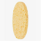 Fillimilli Cellulose Cleansing Sponge