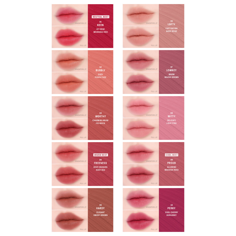 Braye Lipsleek Blur 10 Color to Choose