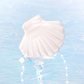 DASIQUE Aqua Shell Sun Cream SPF50+, PA++++