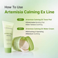 BRINGGREEN Artemisia Calming Ex Toner Pad 75P