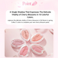 DASIQUE Blooming Single Shadow [Pink Blossom Collection] - 10 Colors to Choose