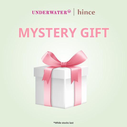 hince Mystery Box