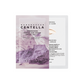 SKIN1004 Madagascar Centella Poremizing Tinted Sun Cream Sachet 1.5ml