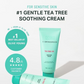 BRINGGREEN Tea Tree Cica Soothing Cream 100ml (2023 Ad)