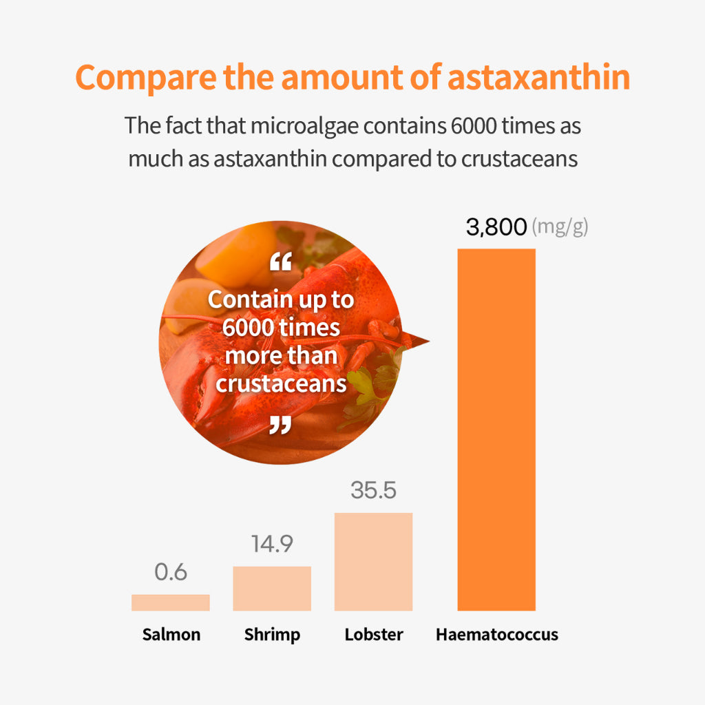 SUNGBOON EDITOR Active Marine Astaxanthin Capsule Cream 50ml