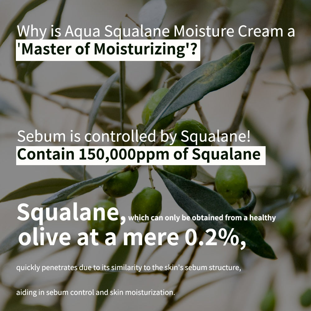 S.NATURE Aqua Squalane Moisturizing Cream 60ml