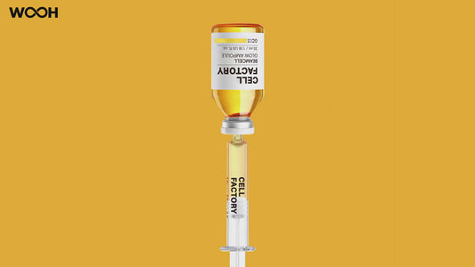 CELL FACTORY Beamcell Glow Ampoule