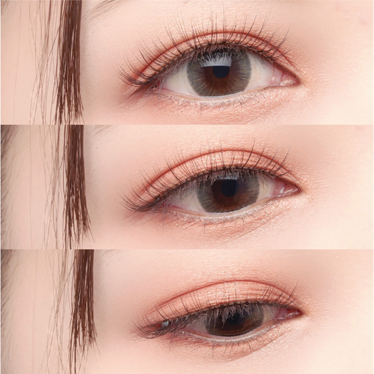 SHOBIDO Decorative Eyelash 011