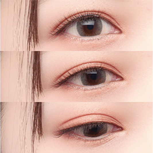 SHOBIDO Decorative Eyelash 012