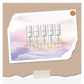 SWG Mini Perfume Set